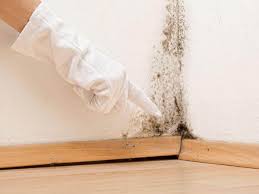 Best Real Estate Mold Inspection  in Nichols Hills, OK